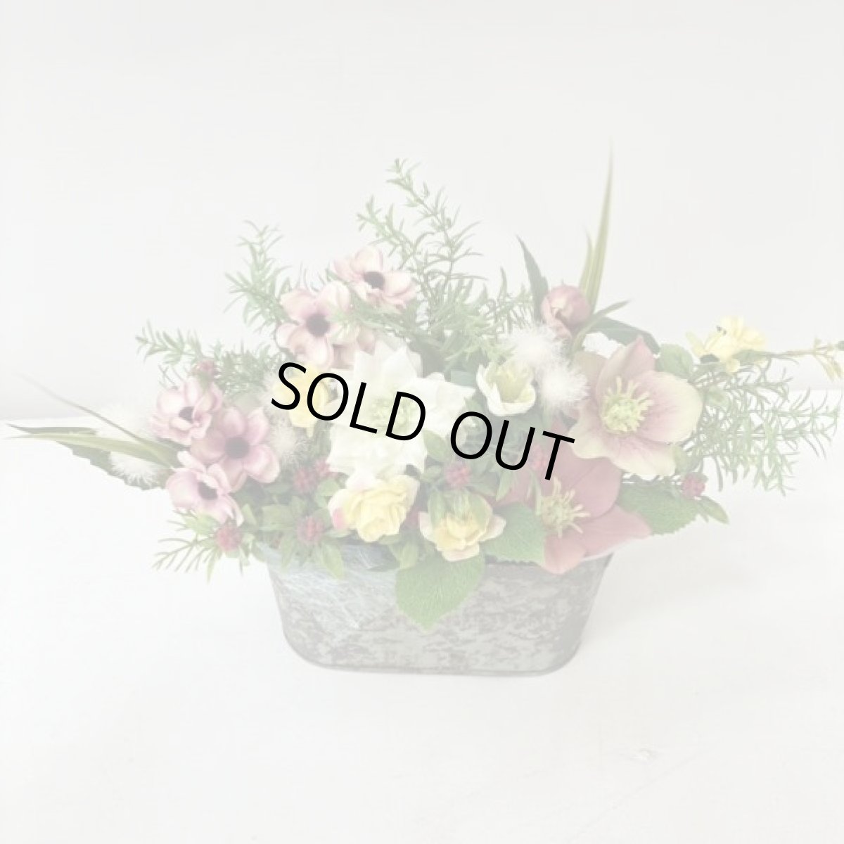 画像8: 春の訪れ (8)