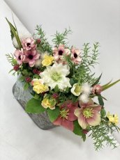 画像13: 春の訪れ (13)