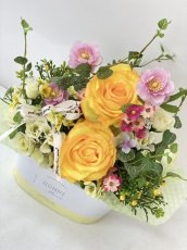 画像11: yellow spring (11)