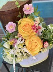 画像2: yellow spring (2)