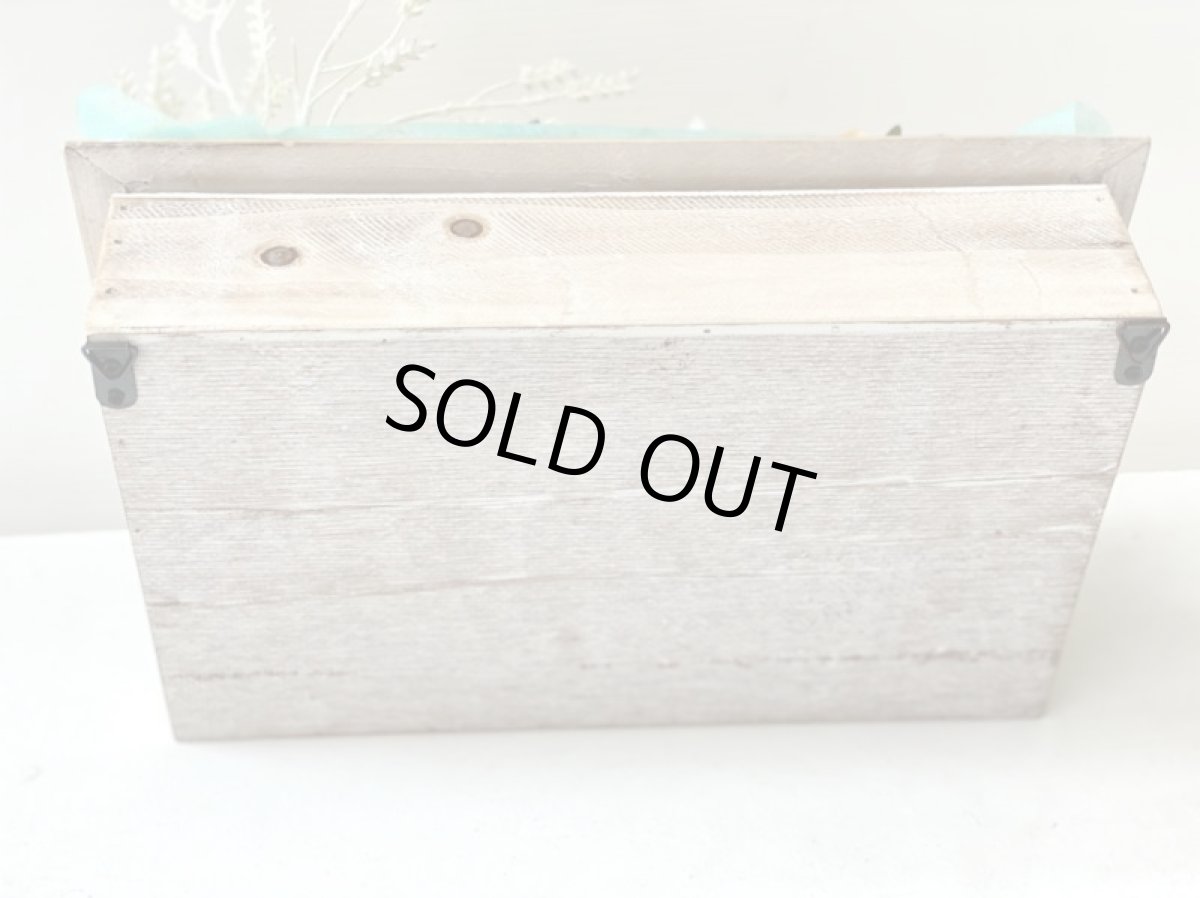 画像11: 初夏 (11)