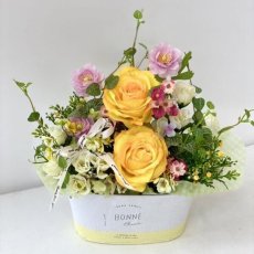 画像6: yellow spring (6)