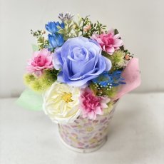 画像7: Best of かわいい (7)