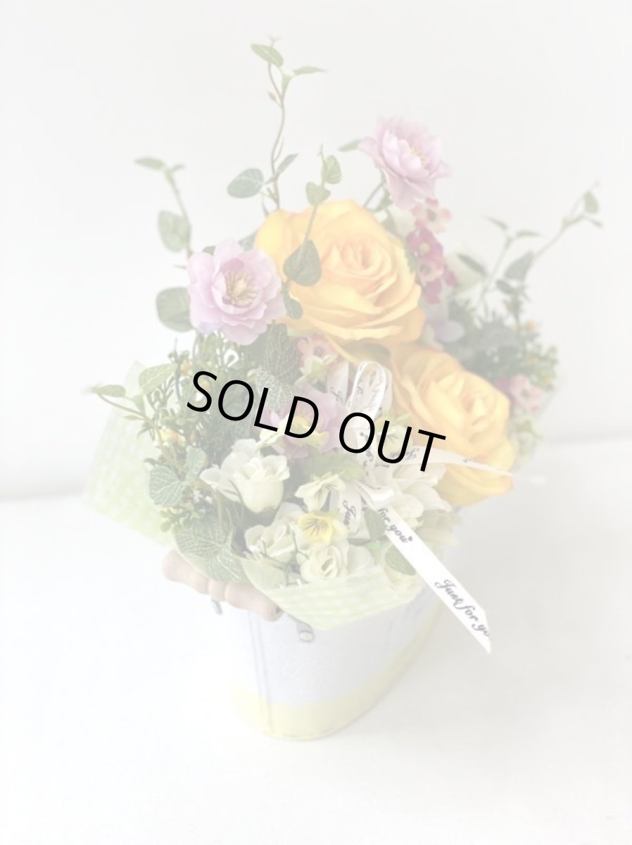 画像10: yellow spring (10)