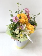 画像10: yellow spring (10)