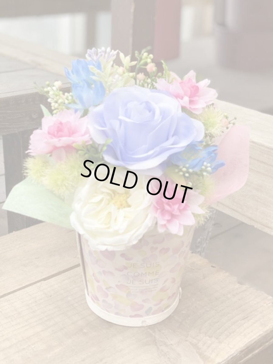 画像5: Best of かわいい (5)