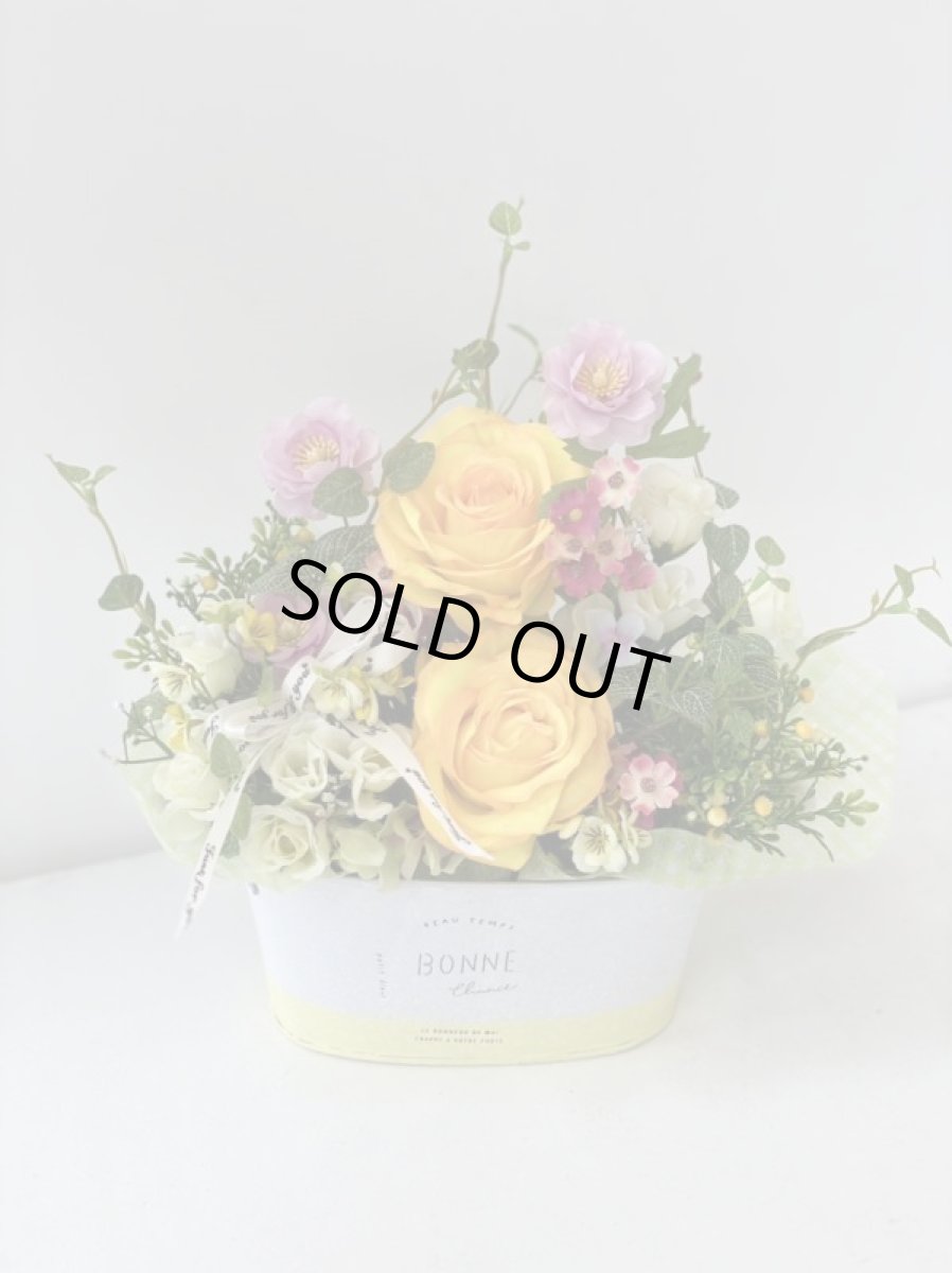 画像8: yellow spring (8)