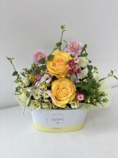 画像8: yellow spring (8)