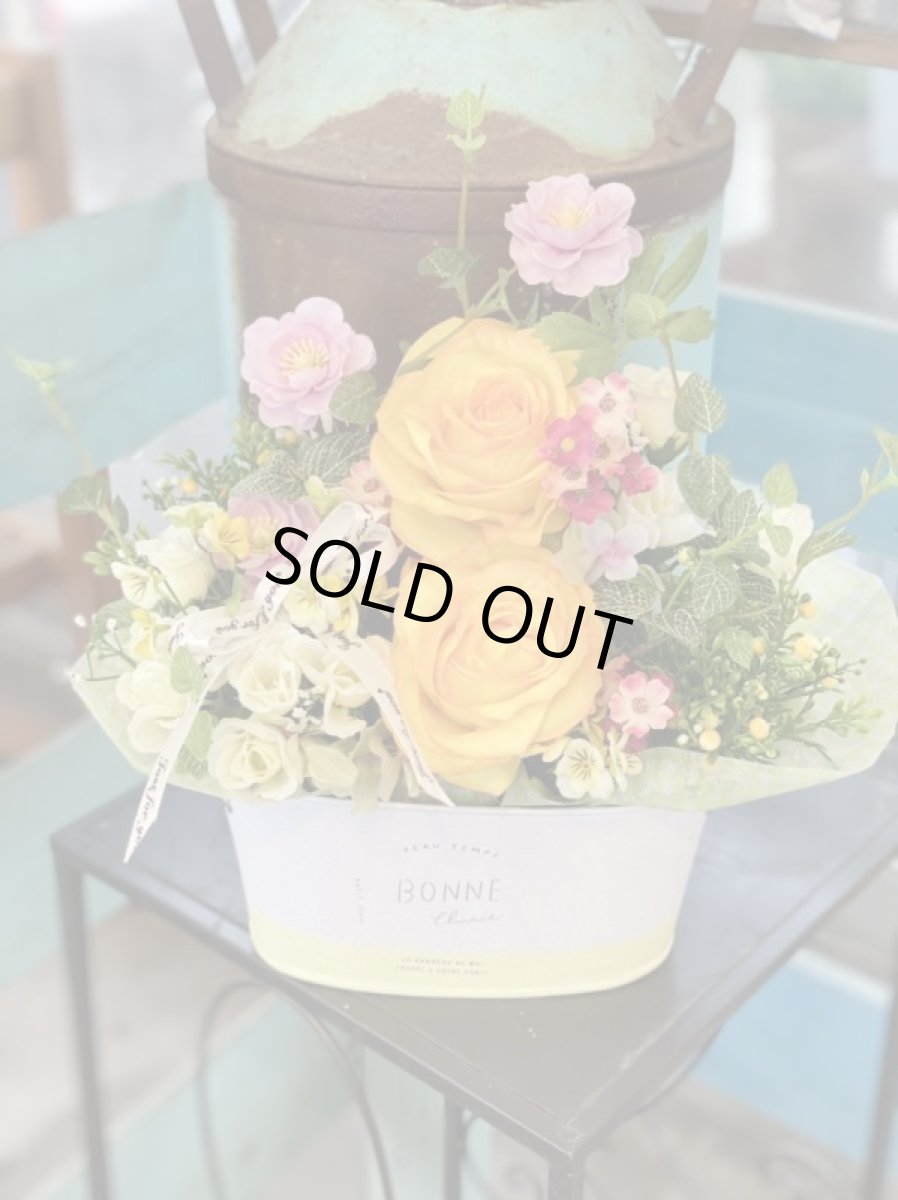 画像5: yellow spring (5)