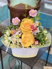 画像1: yellow spring (1)