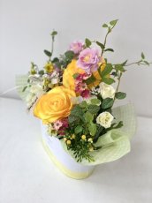 画像9: yellow spring (9)
