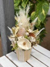 画像1: natural box (1)