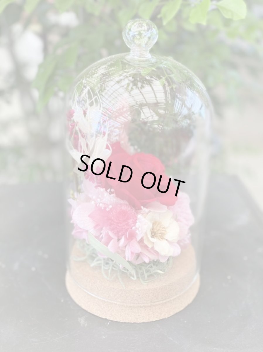 画像4: バラドーム (4)