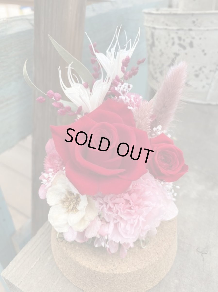 画像6: バラドーム (6)