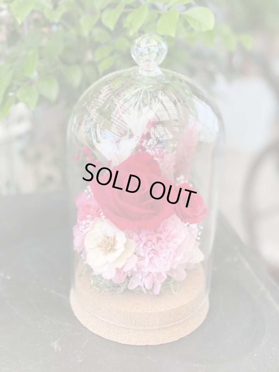 画像2: バラドーム (2)