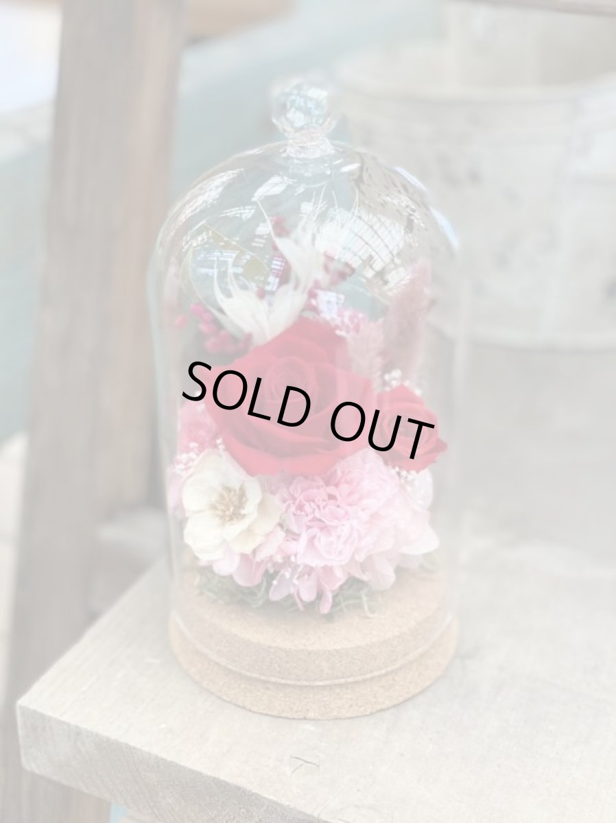 画像5: バラドーム (5)