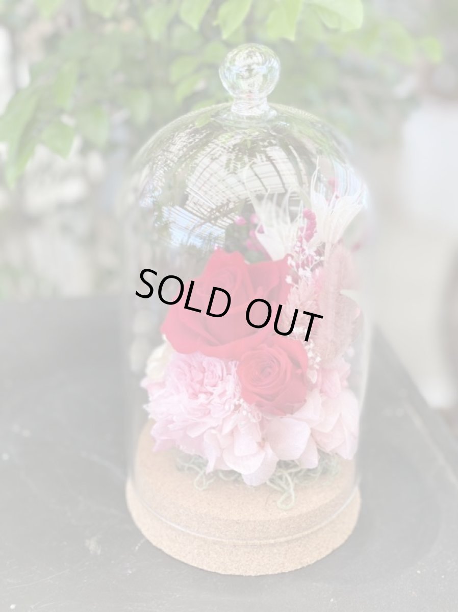 画像3: バラドーム (3)