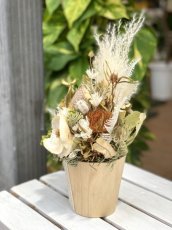 画像4: natural box (4)