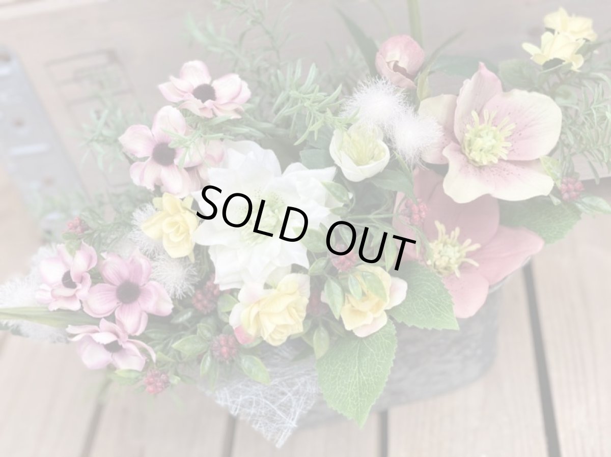 画像5: 春の訪れ (5)