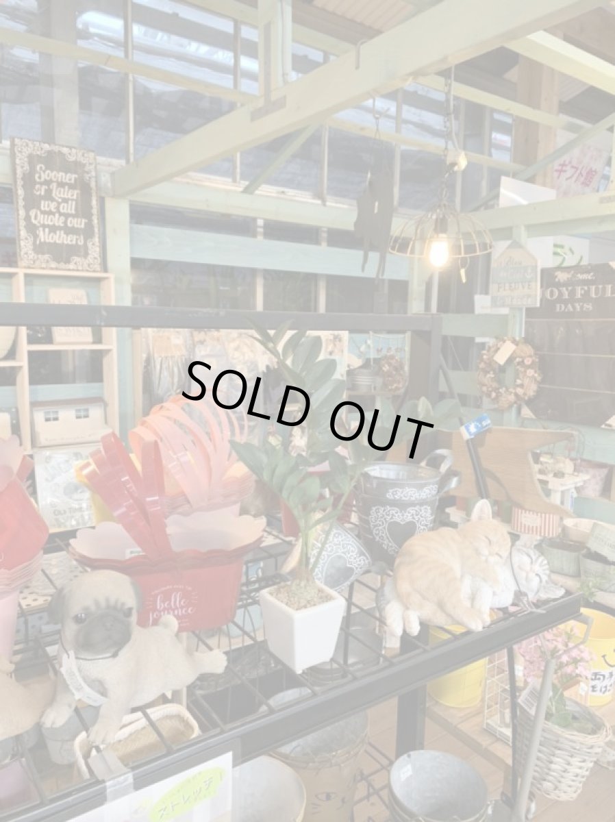 画像3: フェイクミニ観葉1 (3)