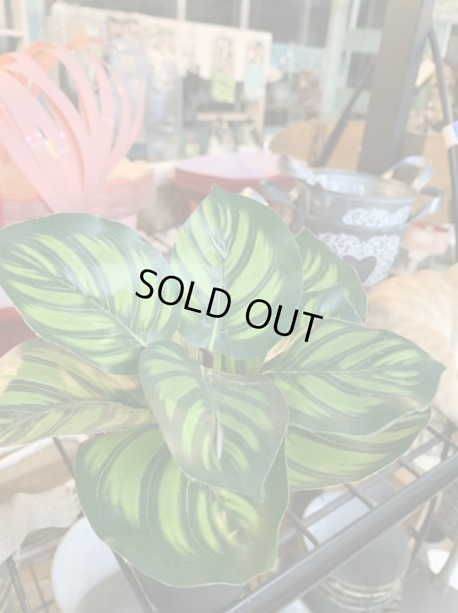 画像3: フェイクミニ観葉4 (3)