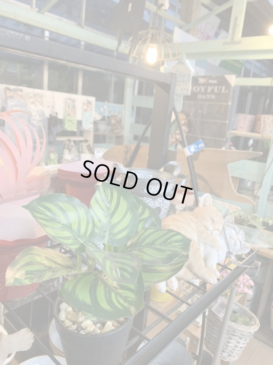 画像2: フェイクミニ観葉4 (2)