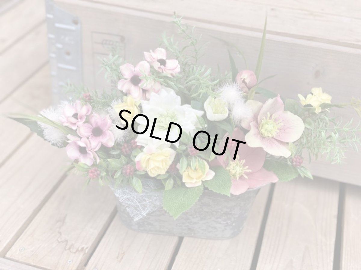 画像6: 春の訪れ (6)