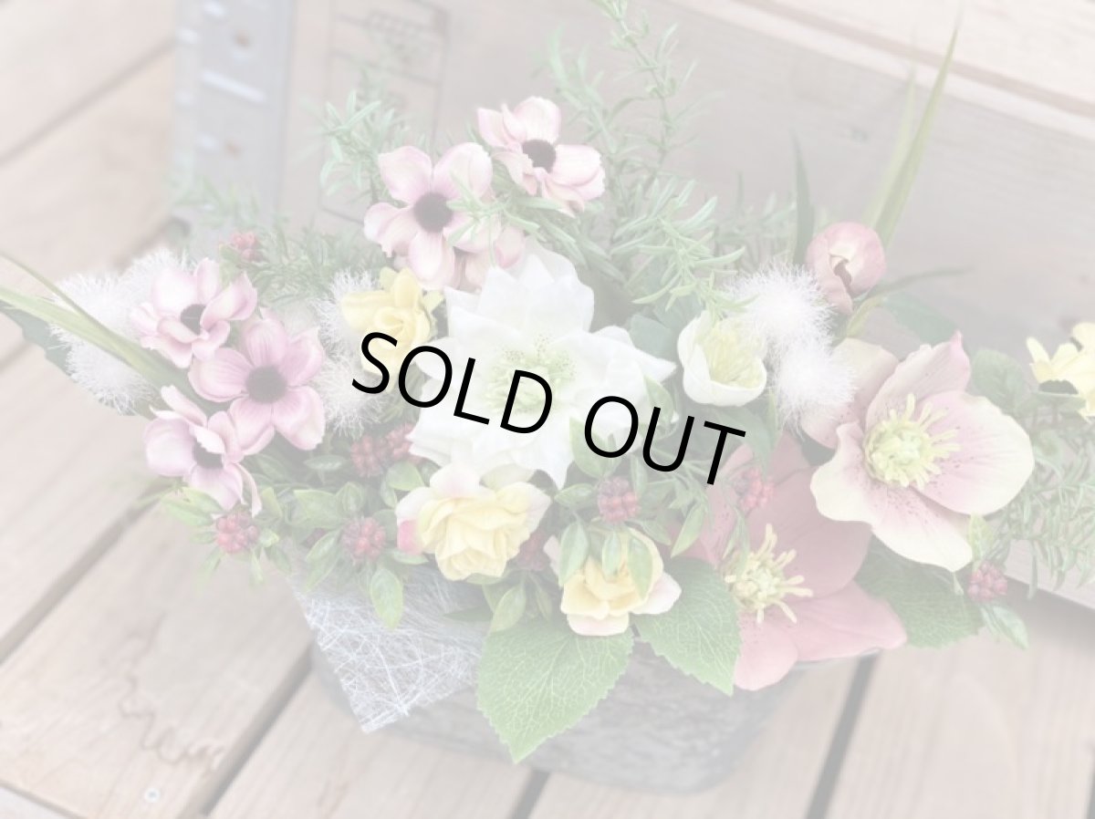 画像4: 春の訪れ (4)