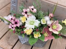 画像4: 春の訪れ (4)