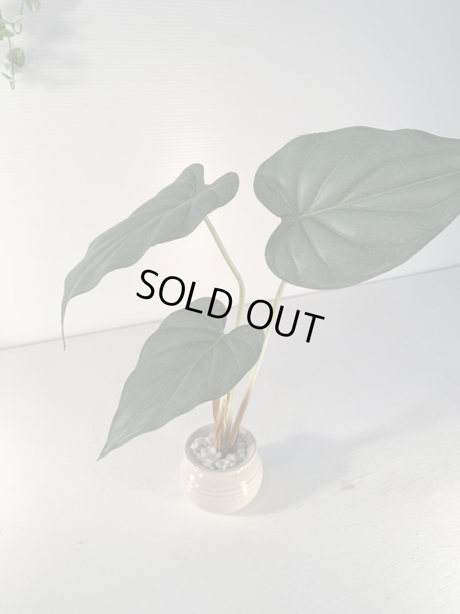 画像4: フェイクミニ観葉2 (4)