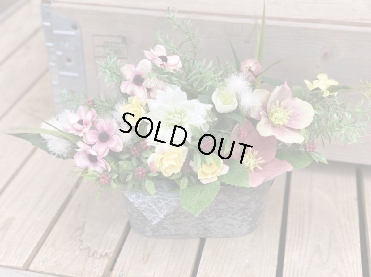 画像3: 春の訪れ (3)