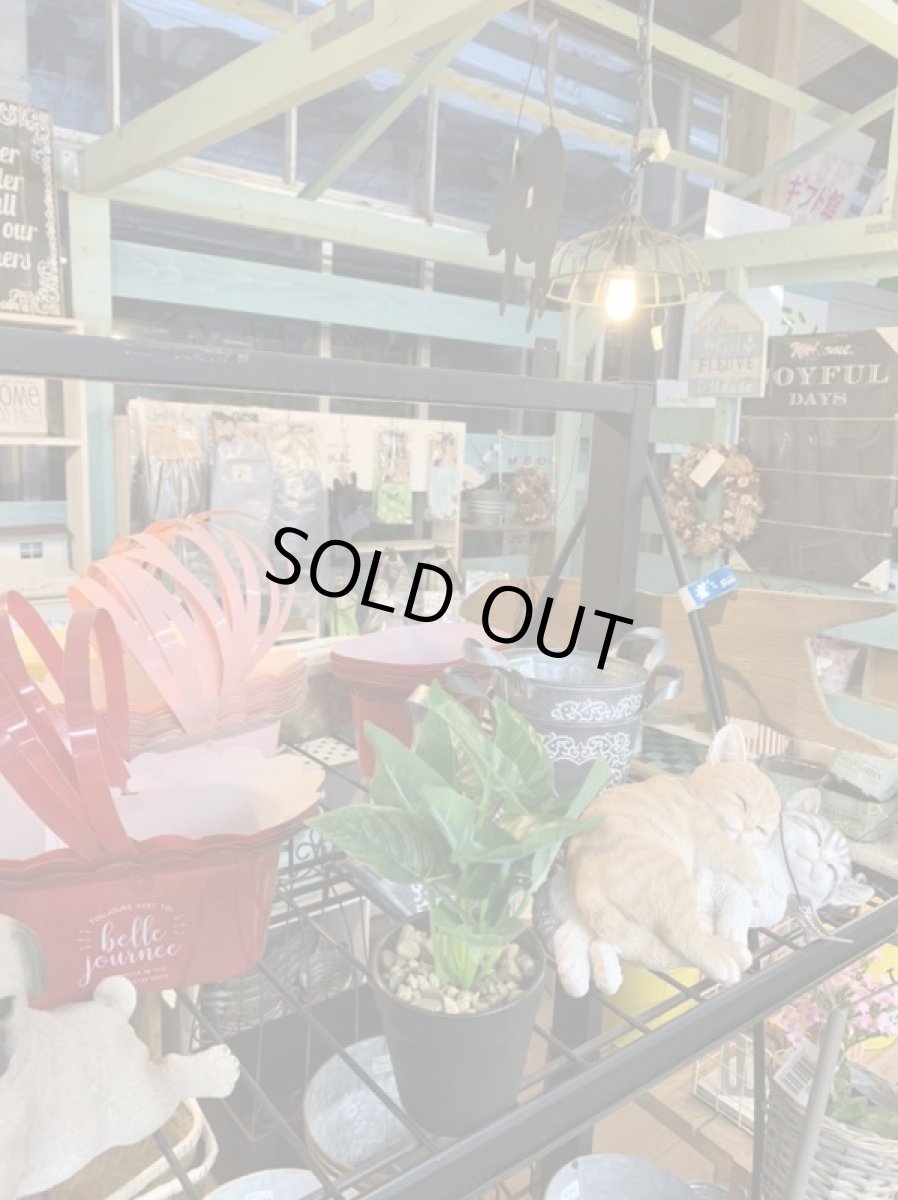 画像3: フェイクミニ観葉3 (3)