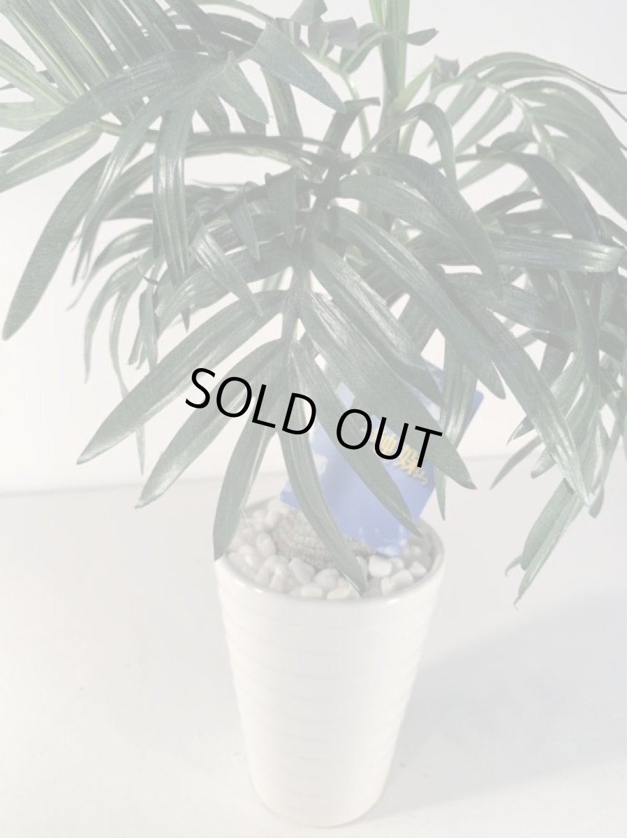 画像6: フェイクミニ観葉　光触媒　１ (6)