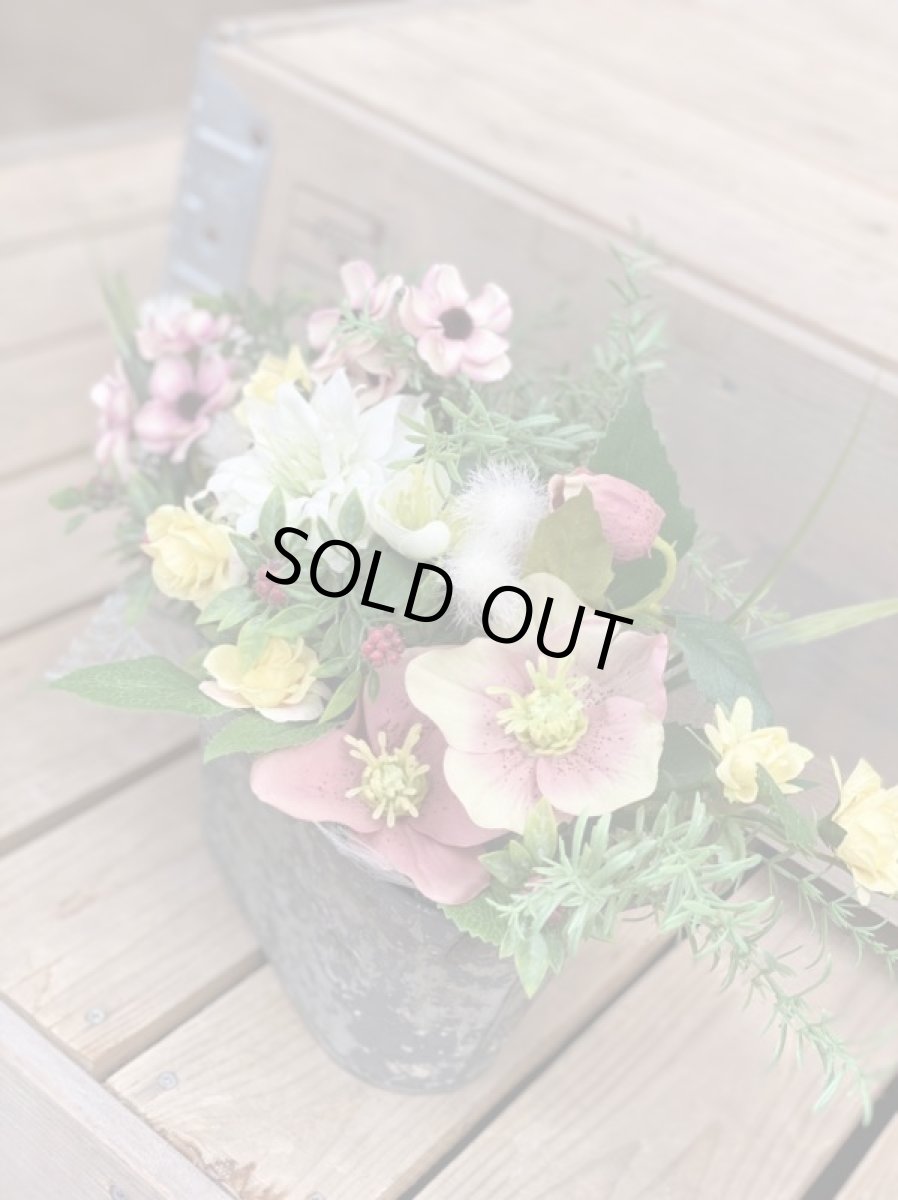 画像2: 春の訪れ (2)