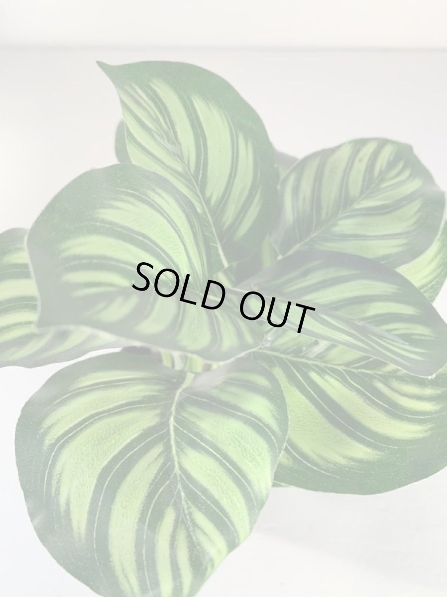 画像6: フェイクミニ観葉4 (6)