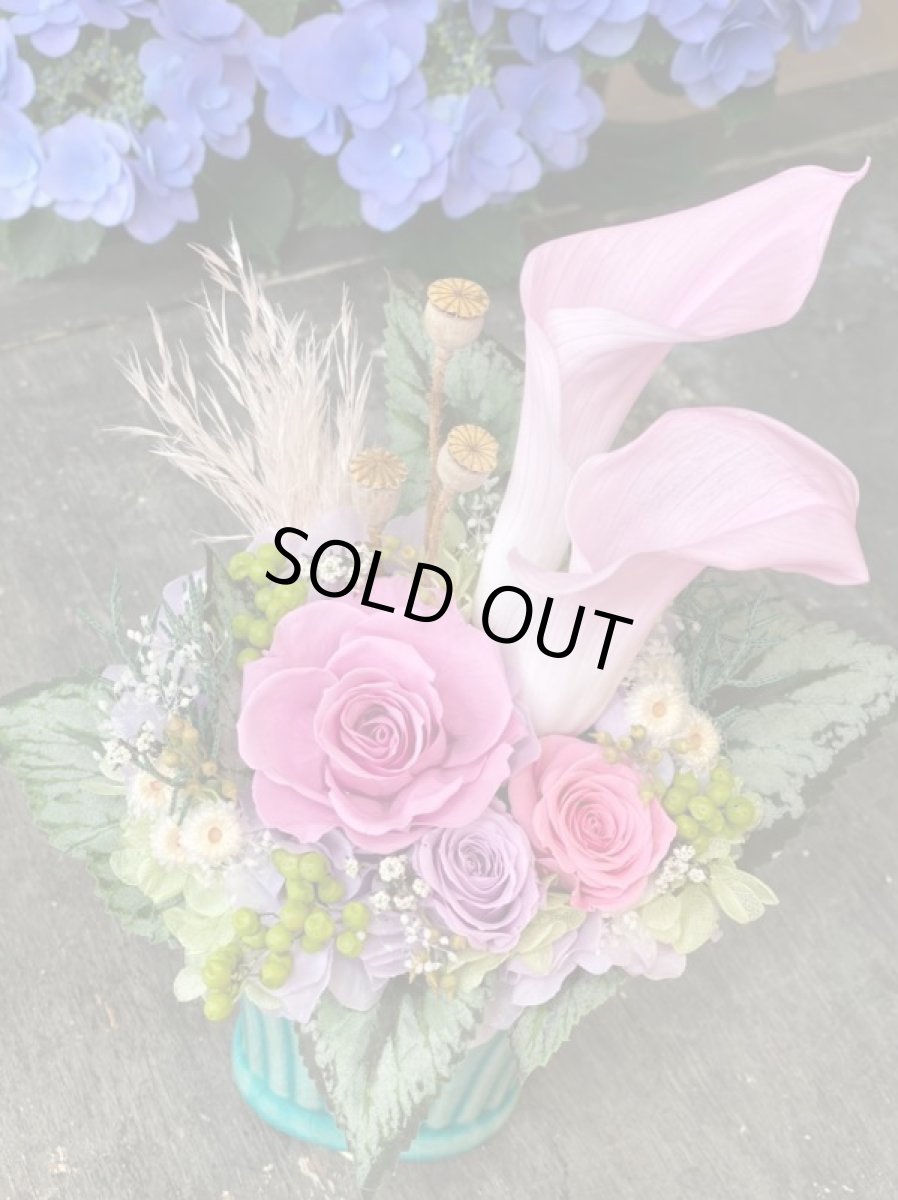 画像3: カラーズ (3)