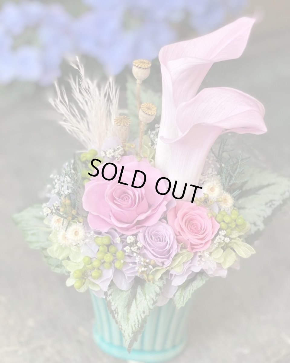 画像2: カラーズ (2)