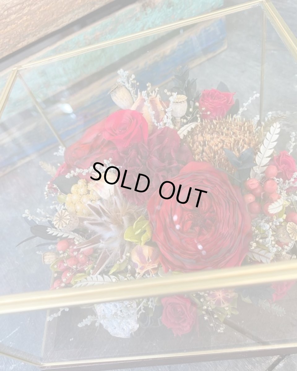 画像2: Red　elegant (2)