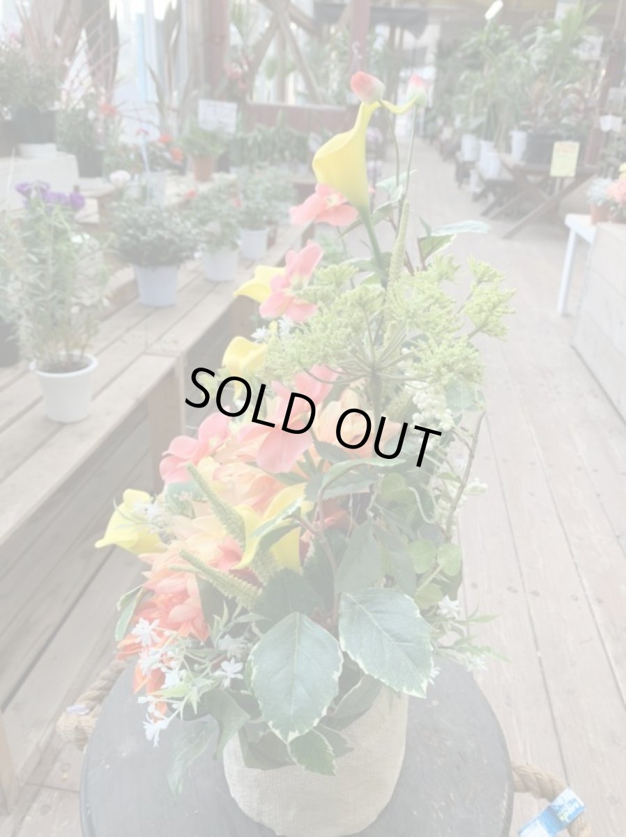 画像4: トロピカルフラワー (4)