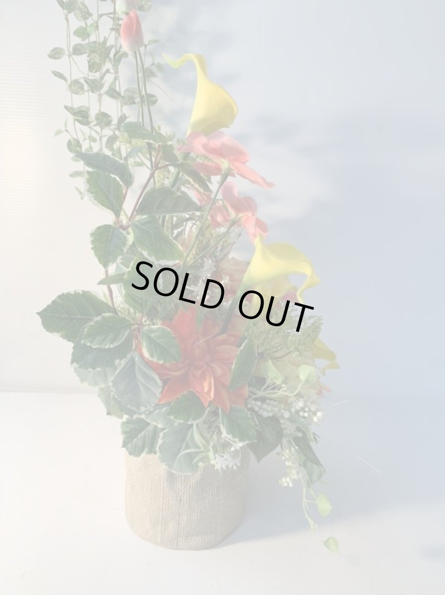 画像8: トロピカルフラワー (8)