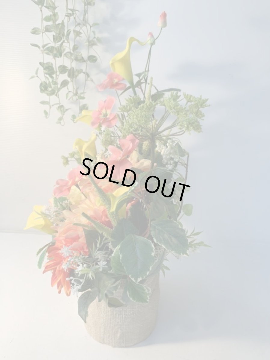 画像9: トロピカルフラワー (9)