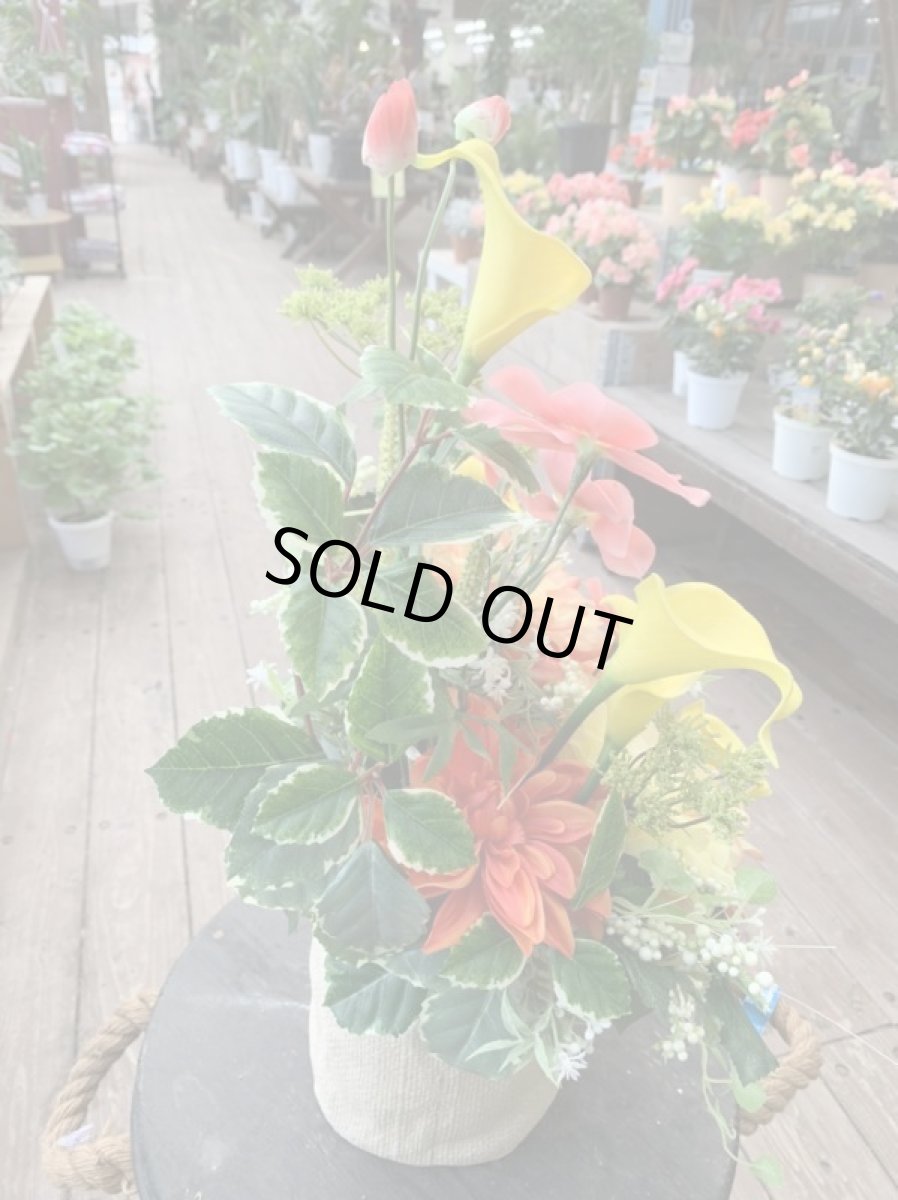 画像3: トロピカルフラワー (3)