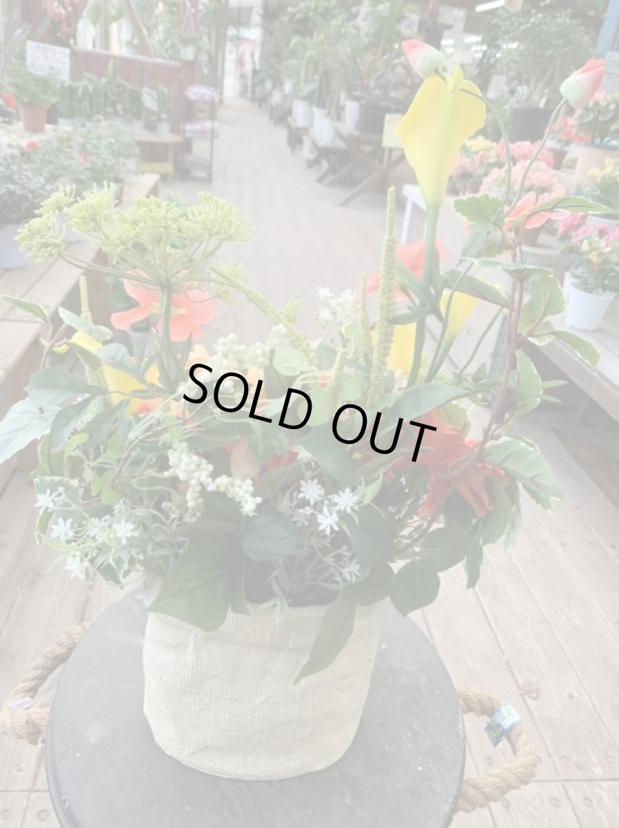 画像5: トロピカルフラワー (5)