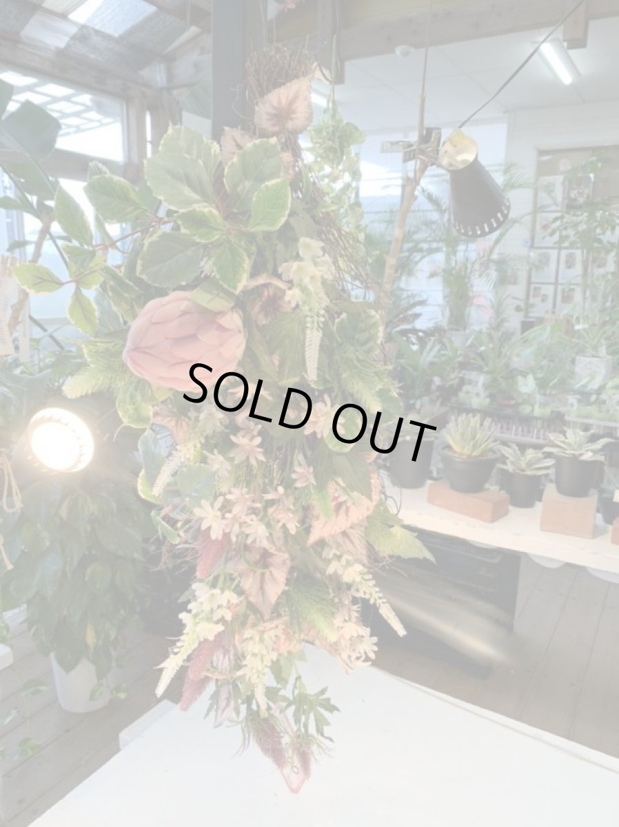 画像4: Native Native (4)