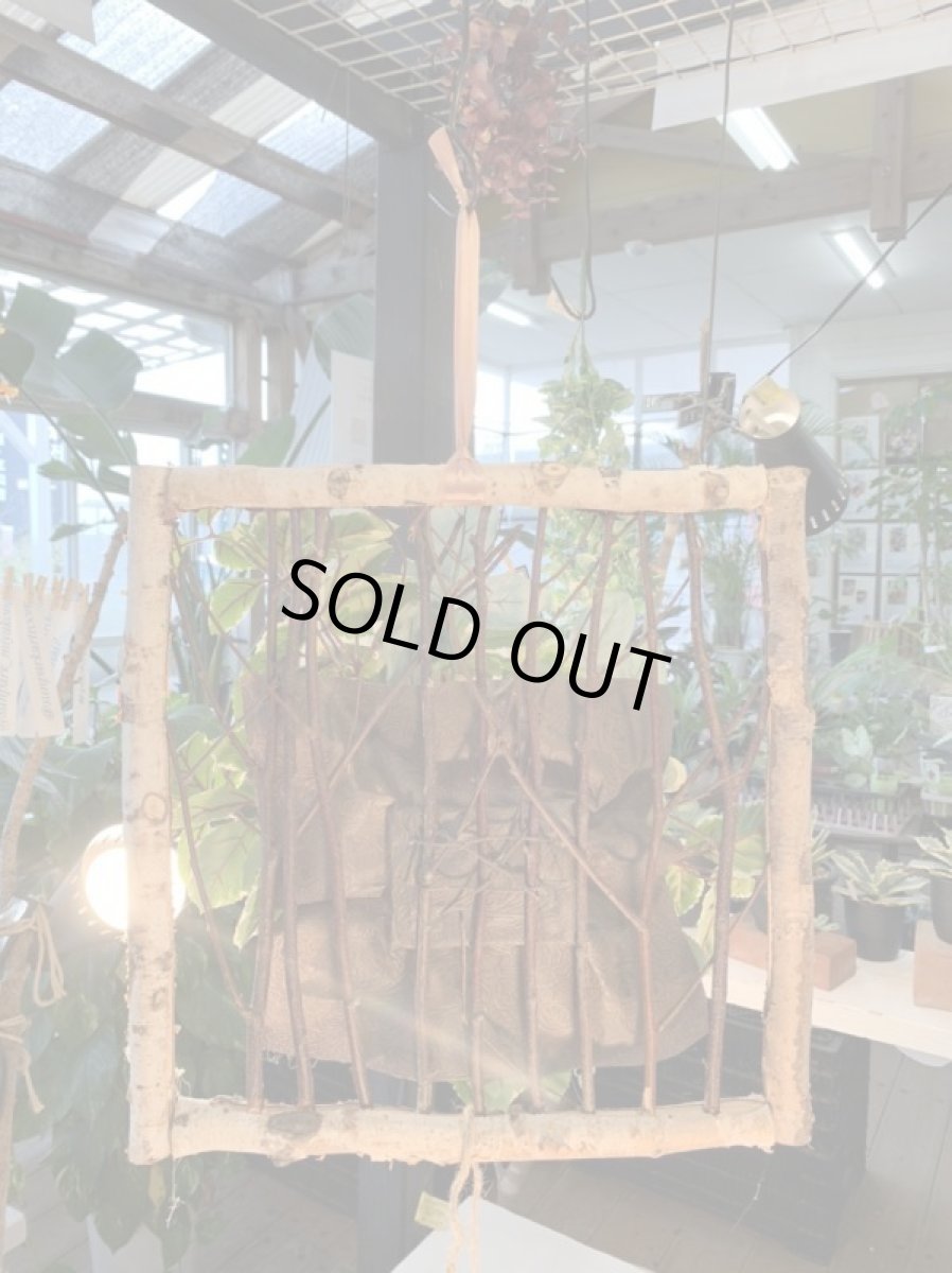 画像4: windows flower (4)