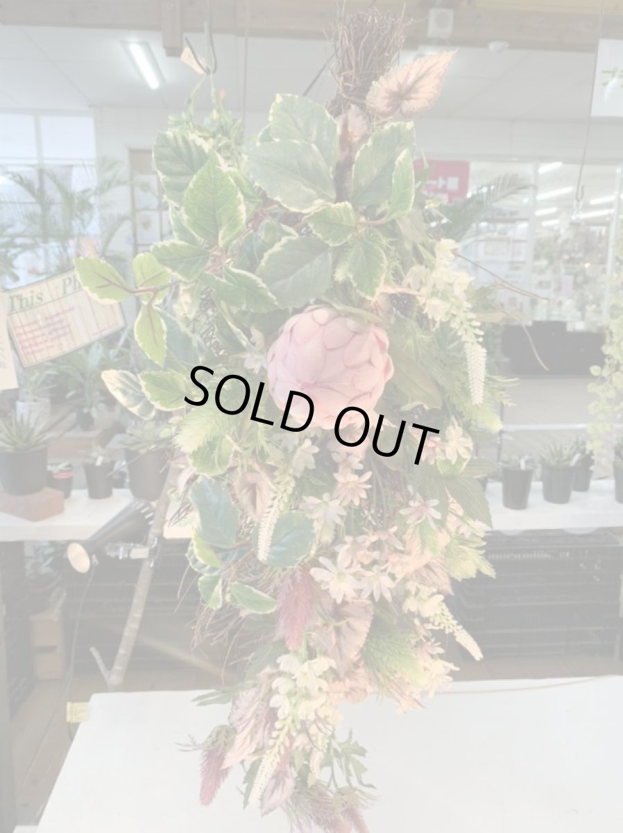 画像2: Native Native (2)