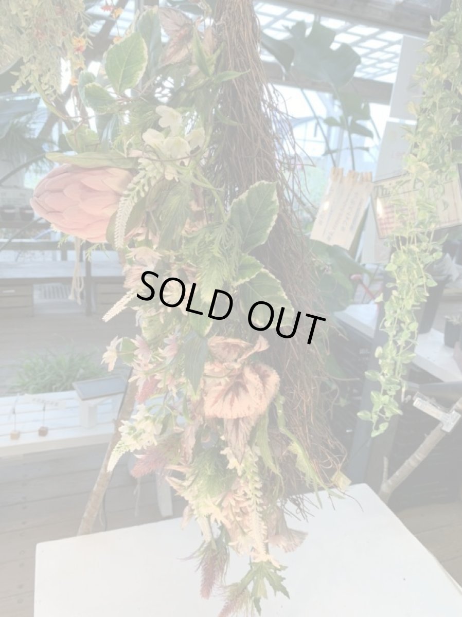 画像3: Native Native (3)