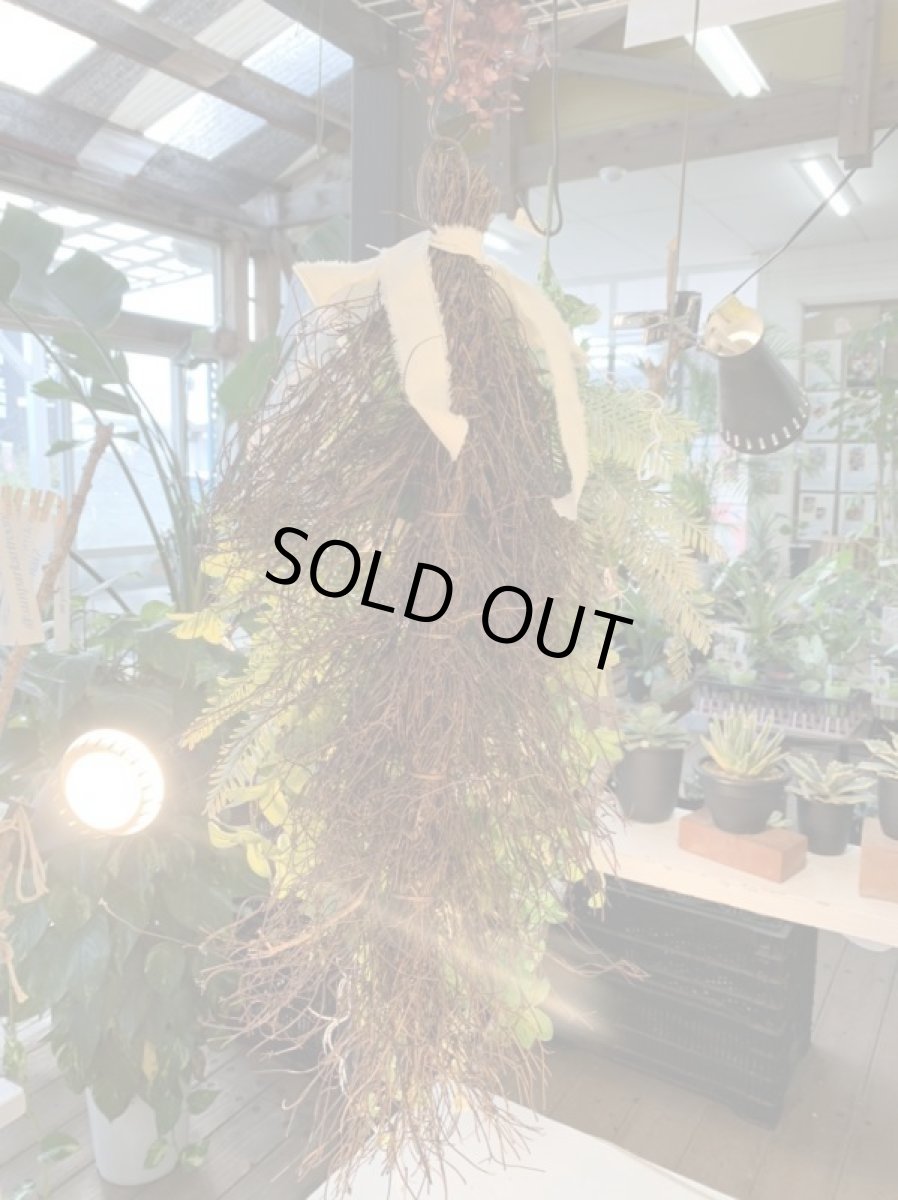 画像5: Natural green (5)