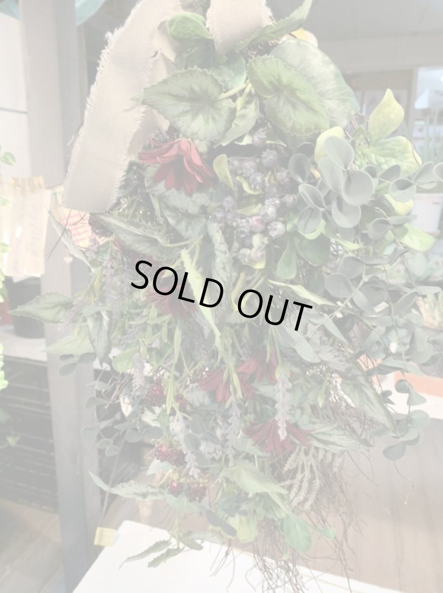 画像3: Natural gift (3)