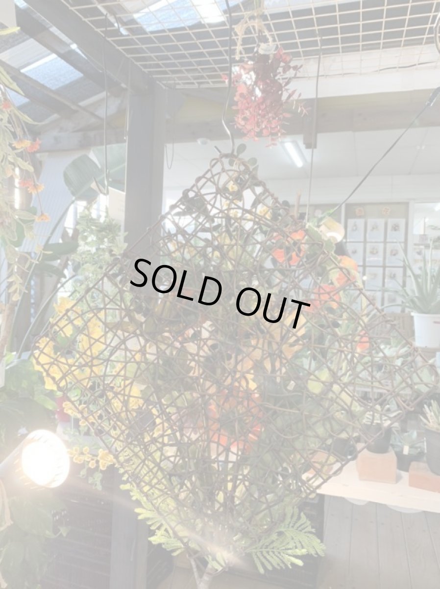 画像5: yellow　ｍagic (5)